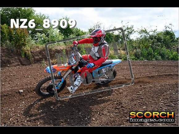 IntersGreen-068