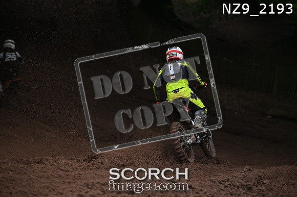 NZ9_2193