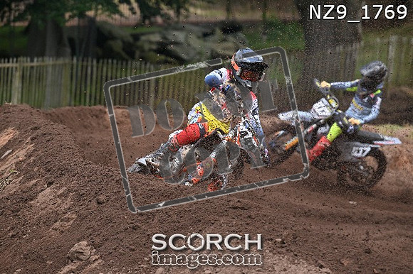 NZ9_1769