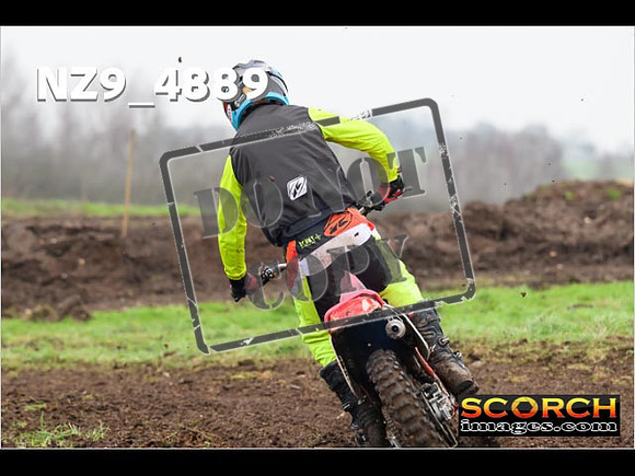 Experts-362