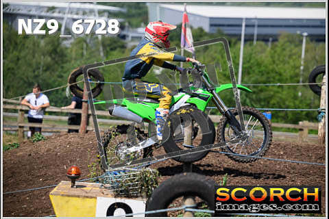 Experts-174