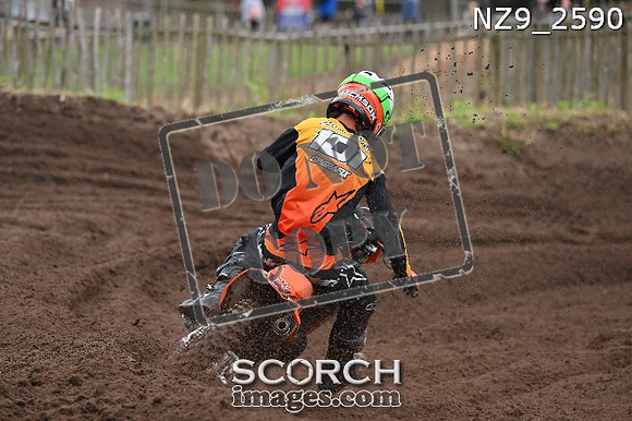NZ9_2590