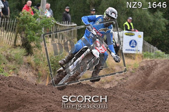 NZ9_1646