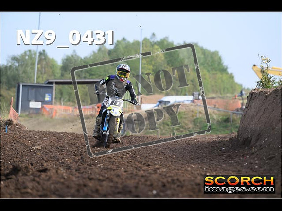 Experts-028