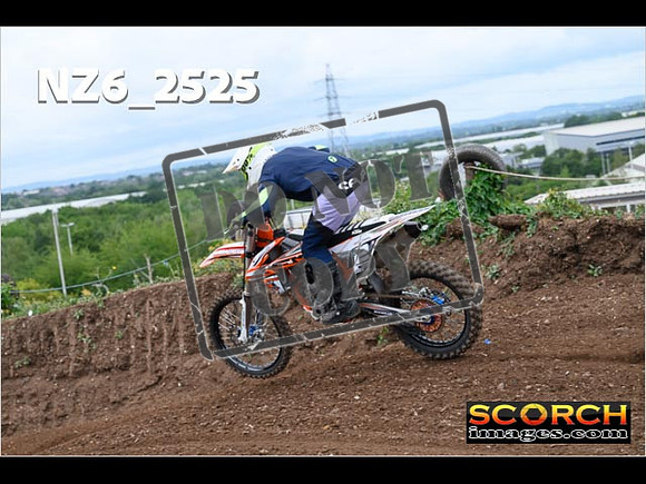 IntersGreen-137