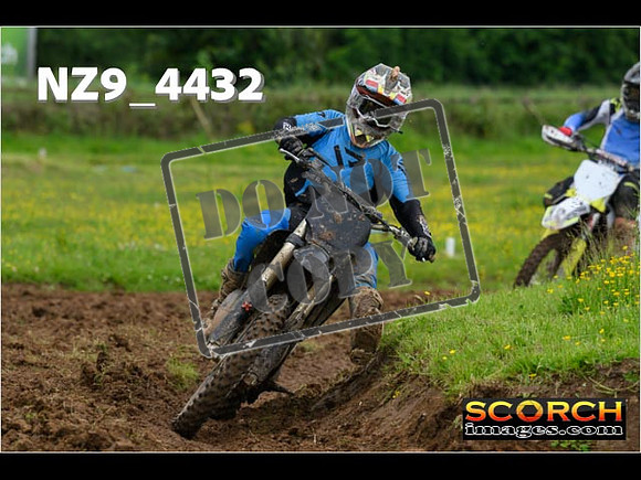 Experts-151