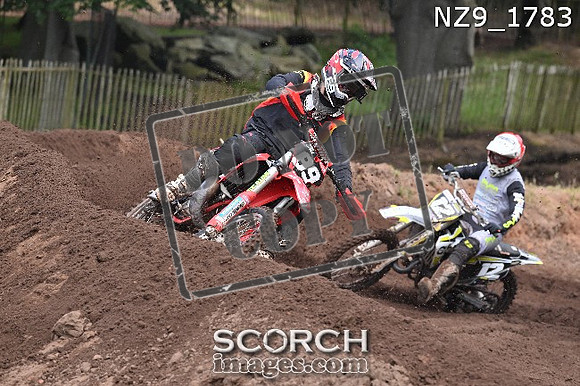 NZ9_1783