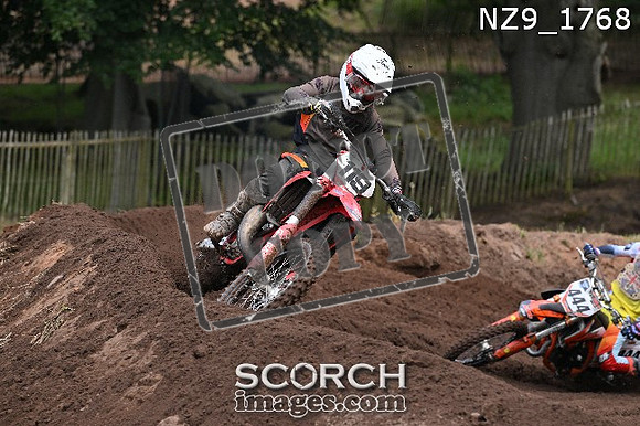 NZ9_1768