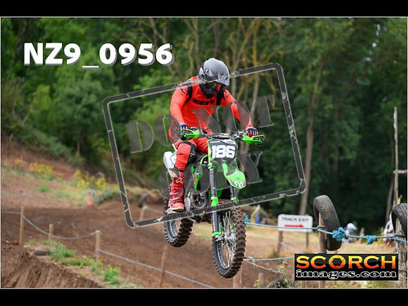 IntersGreen-079