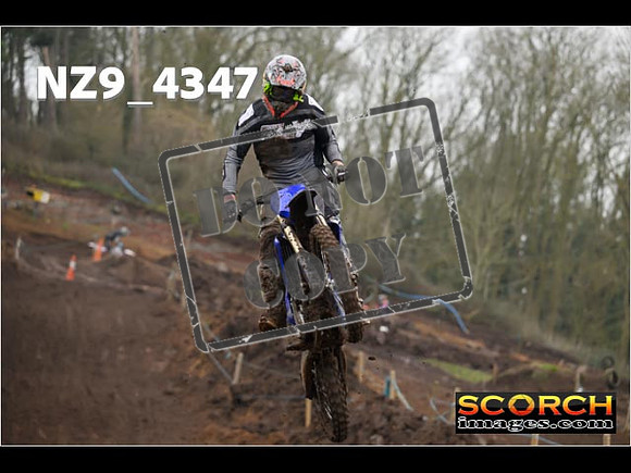 Experts-194