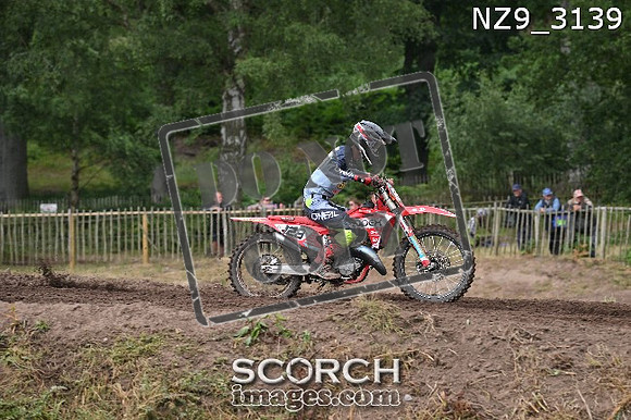 NZ9_3139