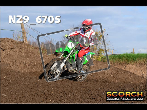 Experts-119