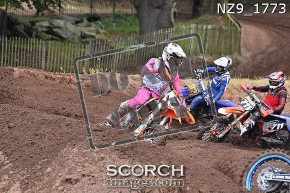 NZ9_1773