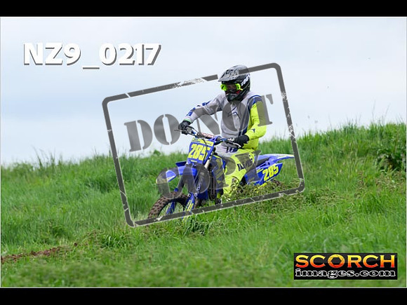IntersGreen-167