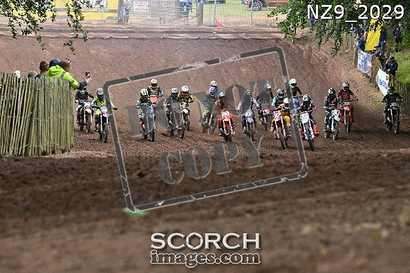 NZ9_2029