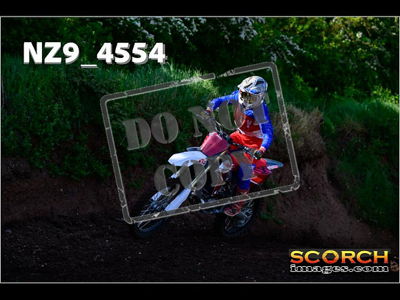 Experts-061