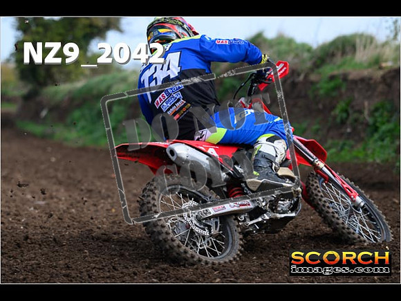 Experts-079