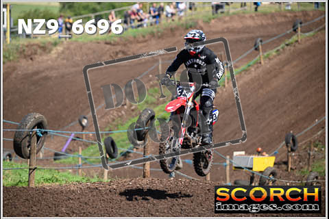 Experts-142