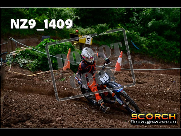 IntersGreen-120