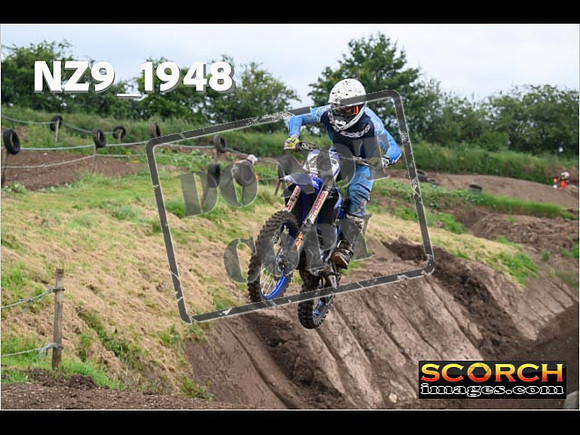 Experts-167