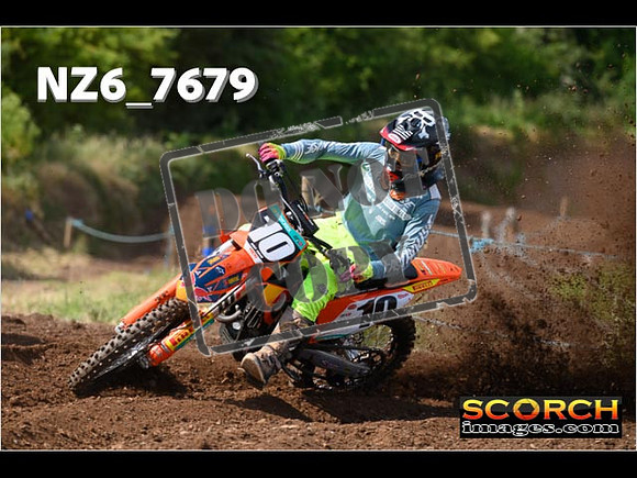 Experts-059
