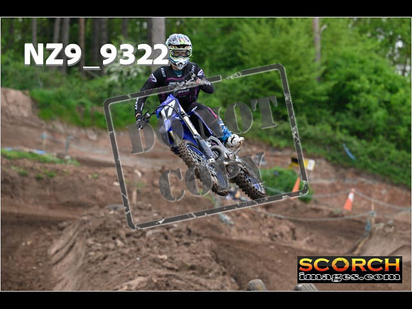 Experts-043