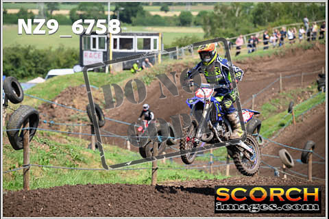 Experts-200