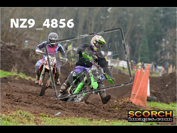 Experts-332