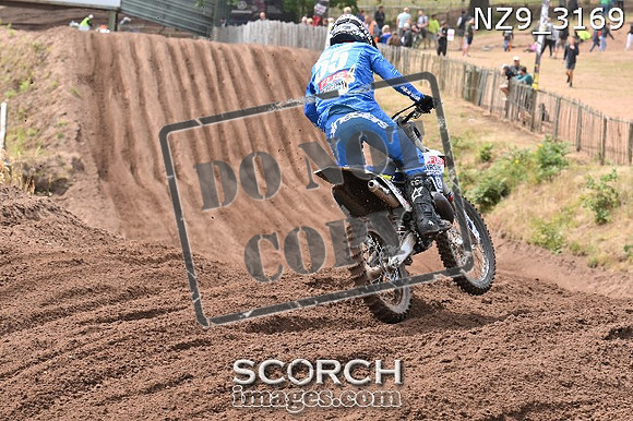 NZ9_3169