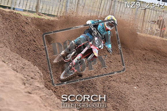 NZ9_2342