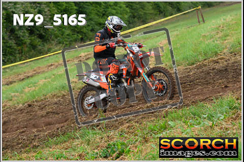 Orange Group-078