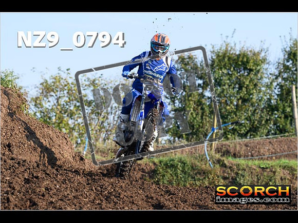 Experts-010