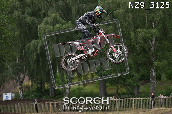 NZ9_3125