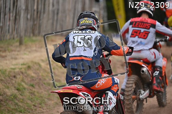 NZ9_2309