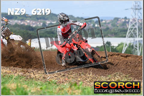 Experts-041