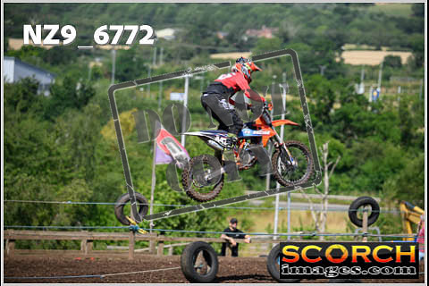 Experts-213