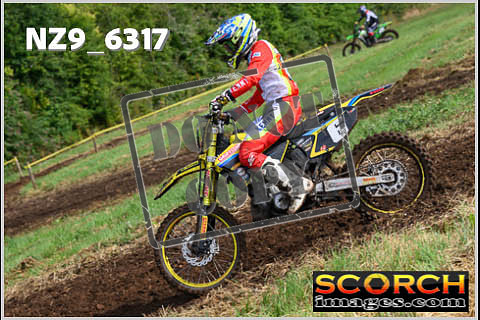 Experts-131