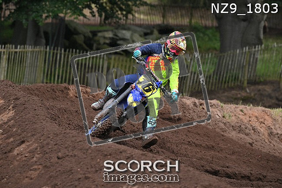 NZ9_1803