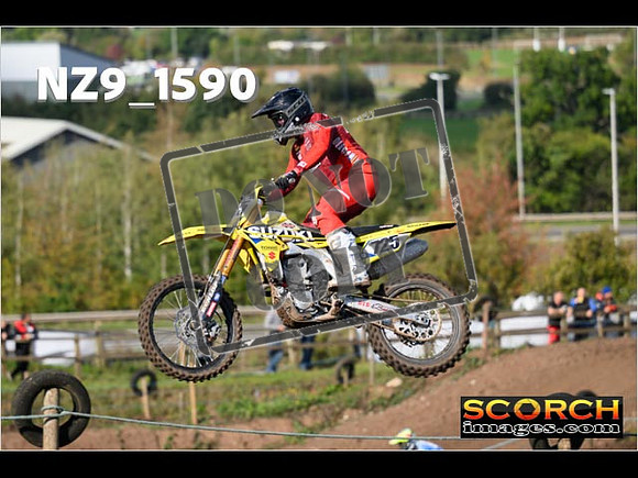 Experts-272