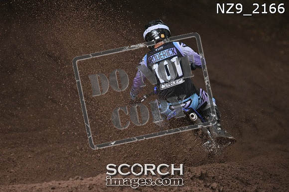NZ9_2166