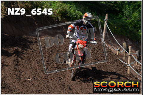 Inters Green Orange-078
