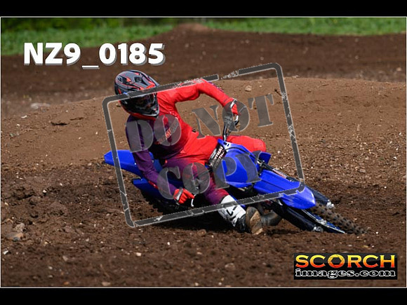 Experts-123