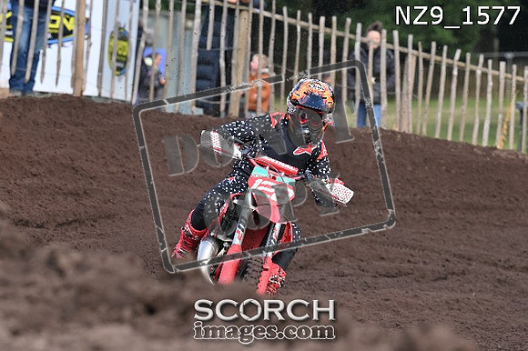 NZ9_1577