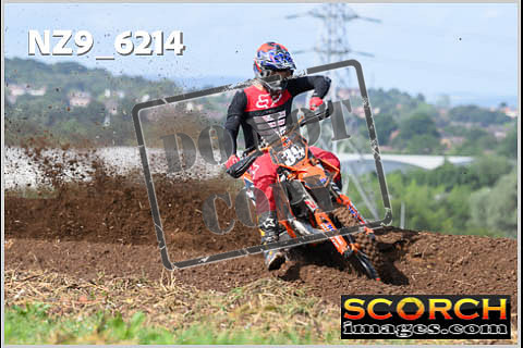 Experts-036