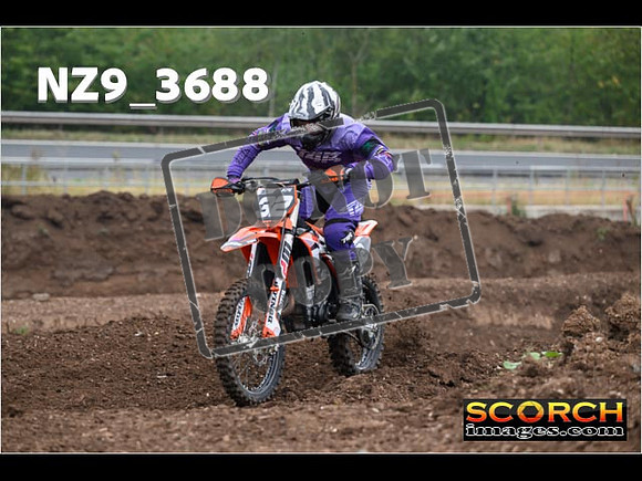 IntersGreenOrange-053