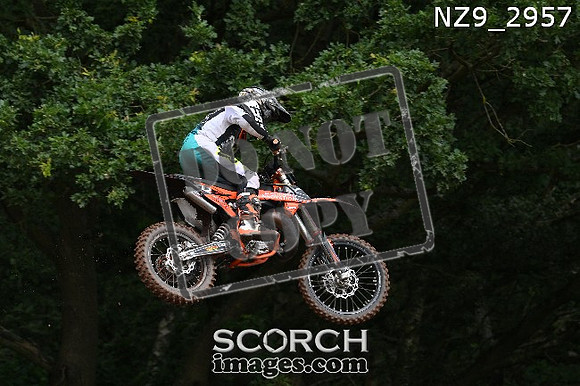NZ9_2957
