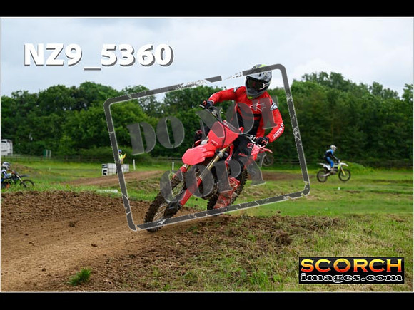 Experts-295