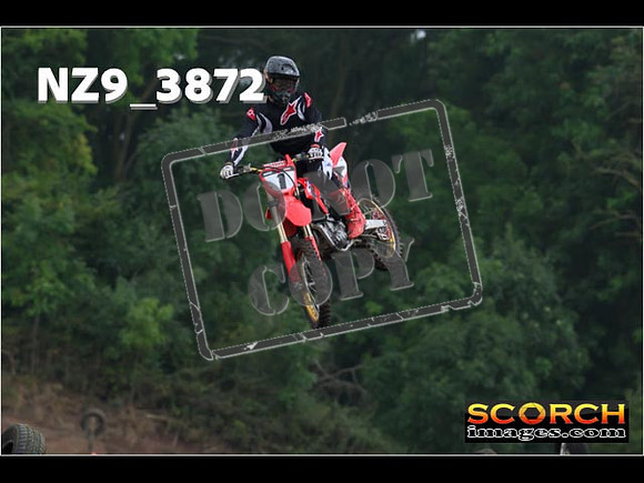 Experts-141