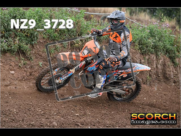 IntersGreenOrange-093