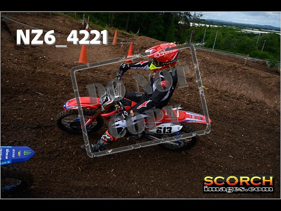 Orange Group-060